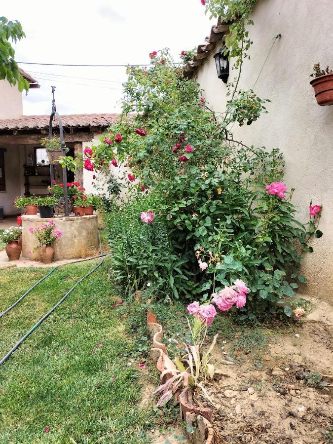 Albergue Don Camino Villalcazar de Sirga Екстер'єр фото